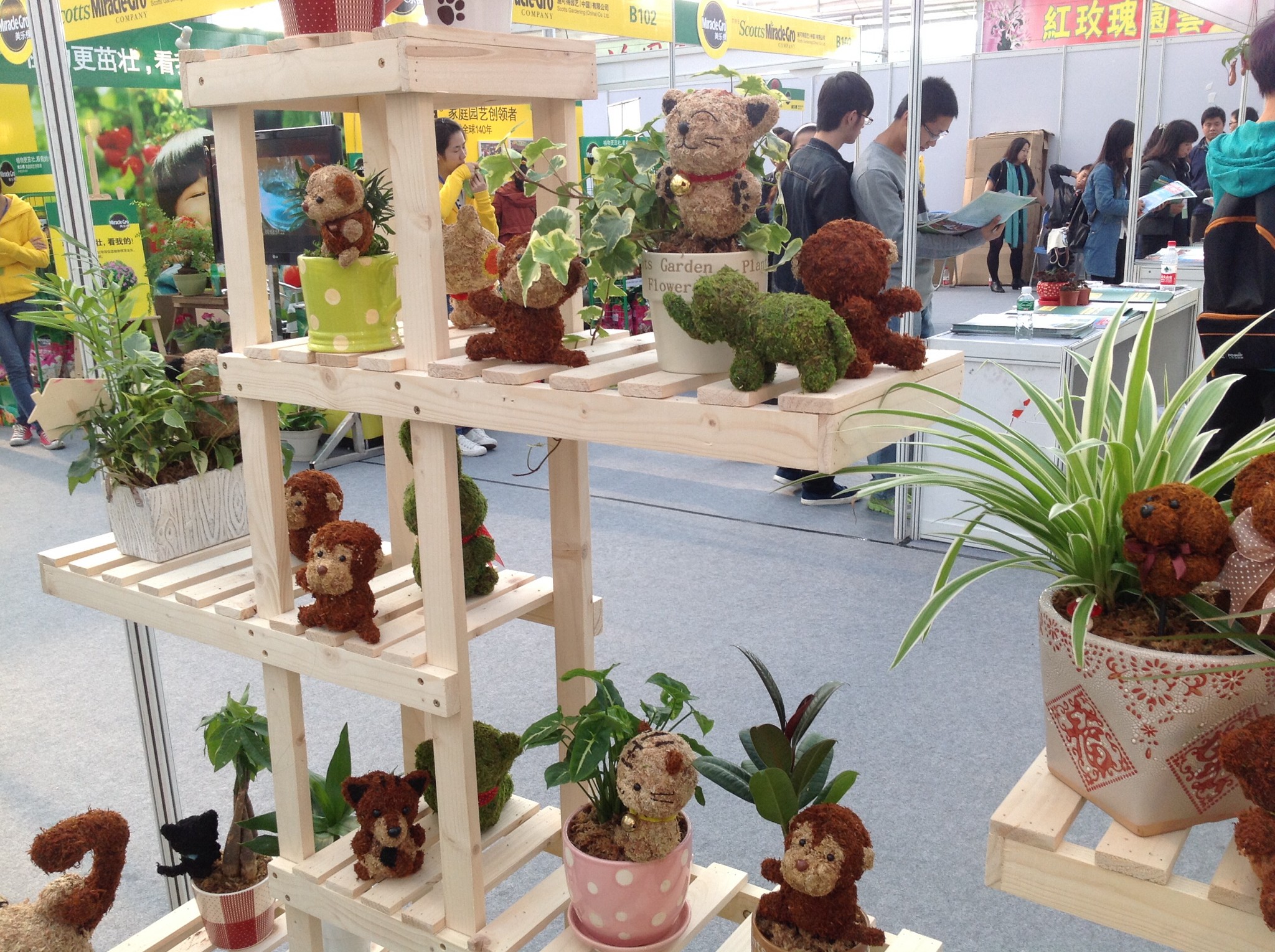 2013广州国际盆栽植物展今天开幕