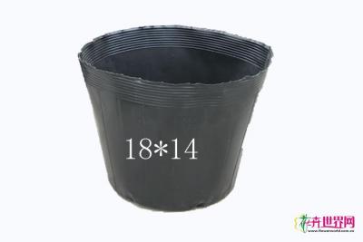营养杯18*14
