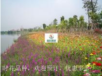 花海工程