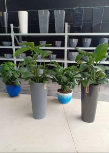 卉吉-简约北欧风格仿水泥树脂花盆  13寸圆高盆  水泥灰