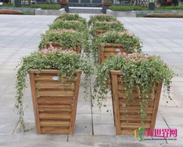 方形铝合金花箱和太阳能铝合金花箱组合
