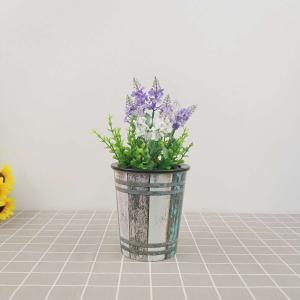 鸿兴达自吸水彩印花盆