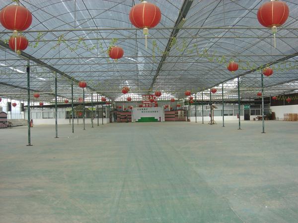 温室工程