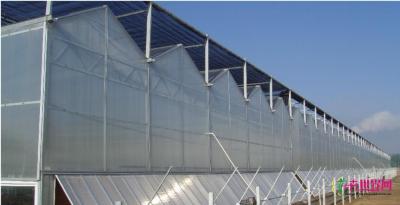 锯齿形薄膜温室