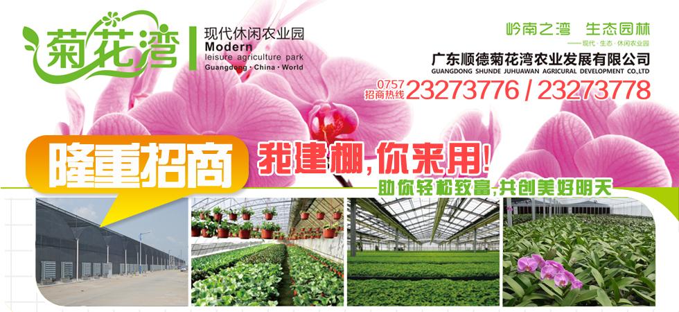 标题广告