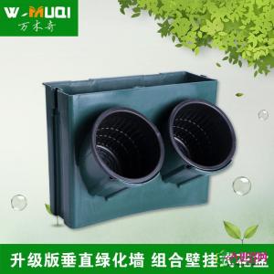 绿墙花盆