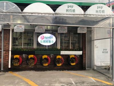 地布