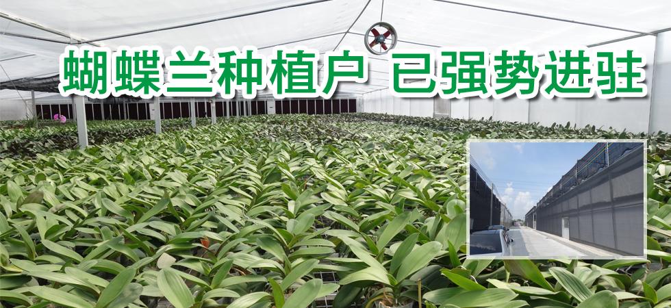 标题广告