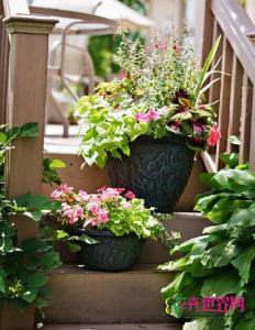  卉吉-简约北欧风格仿水泥树脂花盆  1