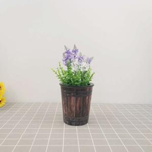 鸿兴达自吸水彩印花盆