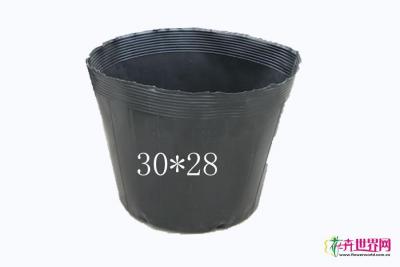 营养杯30*28