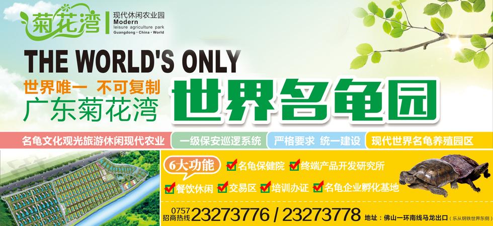 标题广告