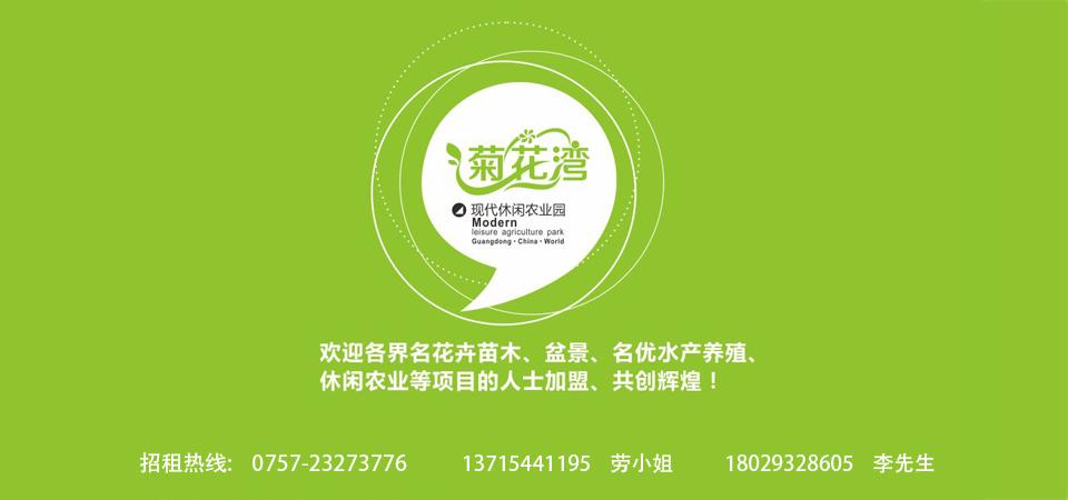 标题广告