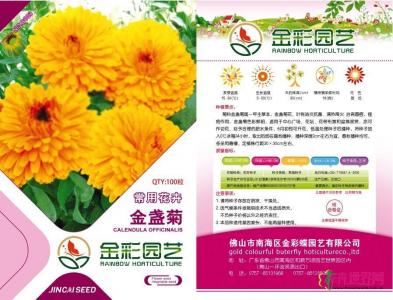 金盏菊