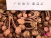姜荷花种子