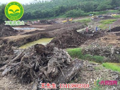高要泥炭土（开采现场）