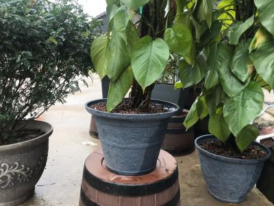 卉吉-简约北欧风格仿水泥树脂花盆 16寸裂纹盆 水泥灰