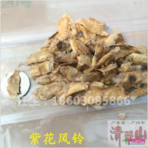 紫花风铃