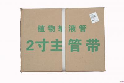 80主带