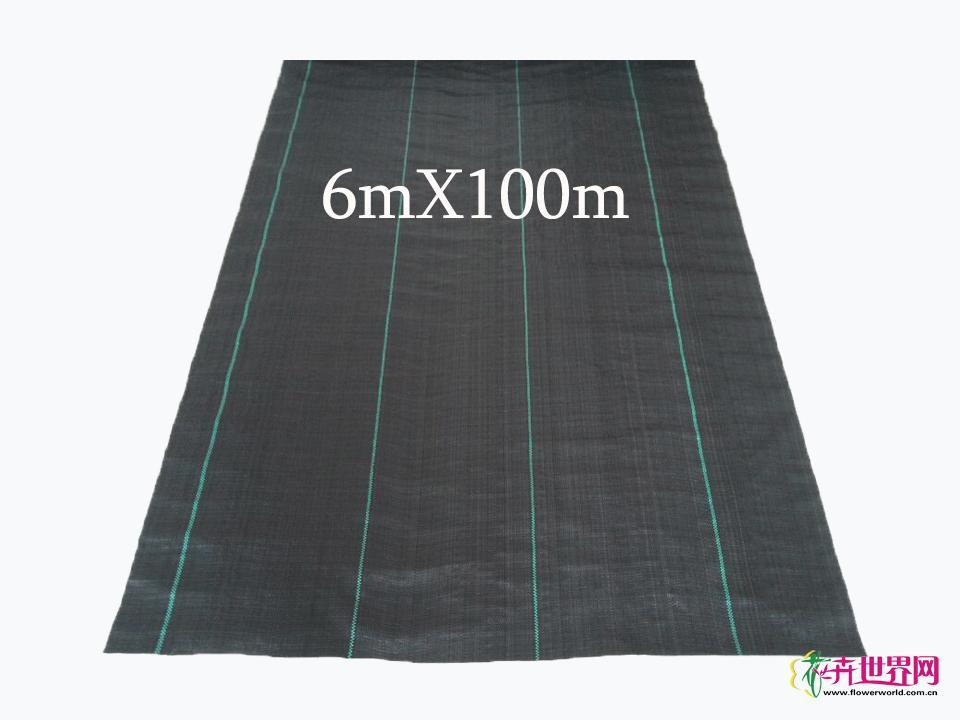 地布（6MX100m）