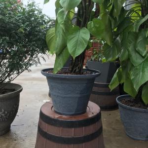 卉吉-简约北欧风格仿水泥树脂花盆 16寸裂纹盆 水泥灰