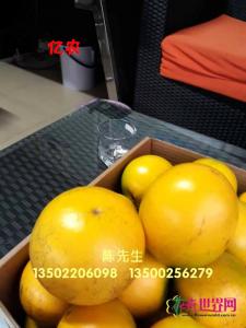 黄晶果