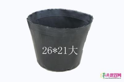 营养杯大26*21