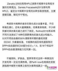 卡姆果