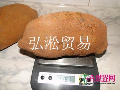 古布阿苏