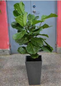 卉吉-简约北欧风格仿水泥树脂花盆