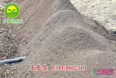 泥炭土