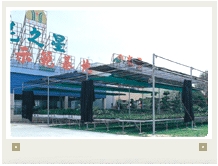 广西桂林恭城县九里香协会