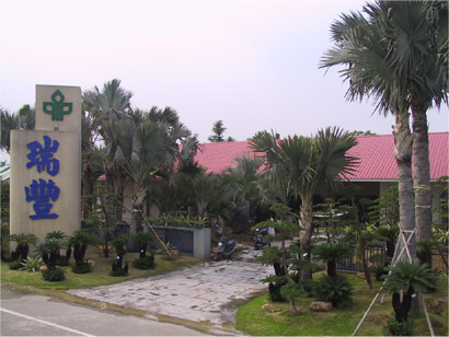 湛江神木园珍稀濒危树种培育基地