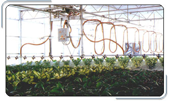 福建泉州市泉美生物科技有限公司