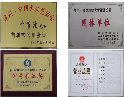 福建农林大学漳州分部科技服务站花卉基地