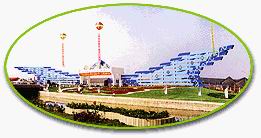 湛江市巧手花木场