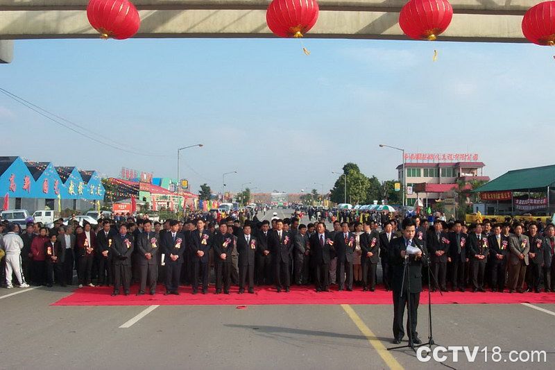 广西北海市罗汉松产业协会