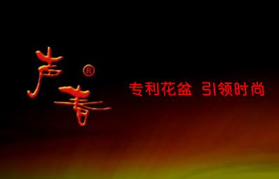 福州声春现代园艺有限公司