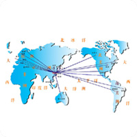 广州金山鲜果行