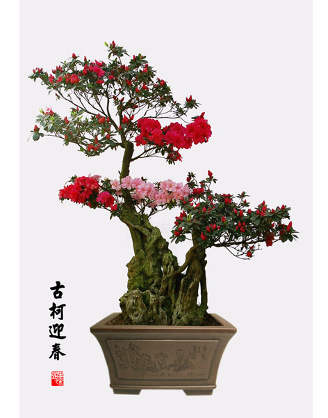 花卉艺术