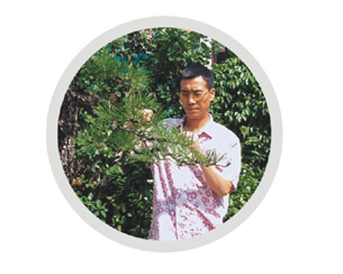 湖北山茅草堂