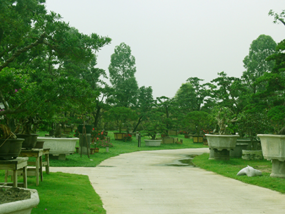 广东佛山逸品园
