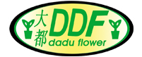 陈村花卉世界大都花场