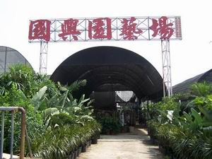 顺德区陈村镇花卉世界国兴园艺场