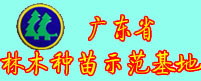 广东省林木种苗示范基地
