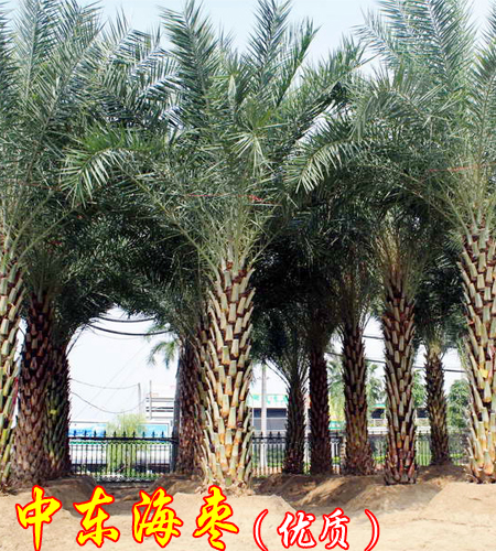 大地源园林有限公司