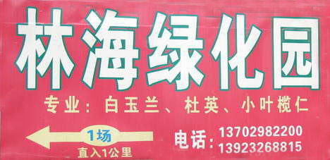 广东省广州市番禺区林海绿化园