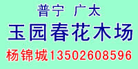 广东省揭阳市普宁广太玉园春花木场