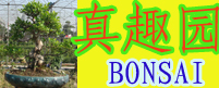 佛山市顺德区真趣园艺