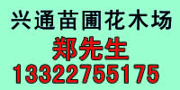 广东省揭东县月城镇兴通苗圃花木场